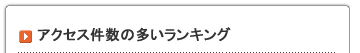 アクセス件数の多いランキング