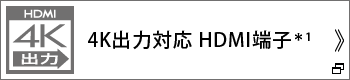 4Ko͑Ή HDMI[q1
