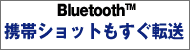 PCBluetooth(TM)̘AgЉ
