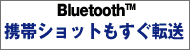 PCBluetooth(TM)̘AgЉ