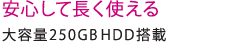 SĒgBe250GB HDD