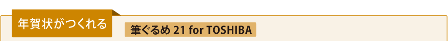 N󂪂[M 21 for TOSHIBA]
