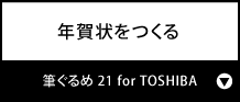 NwM 21 for TOSHIBAx