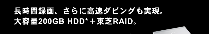 Ԙ^Aɍ_rOBe200GB HDD*{RAIDB