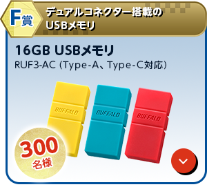 F賞 デュアルコネクター搭載のUSBメモリ「16GB USBメモリ RUF3-AC (Type-A、Type-C対応) 」300名様