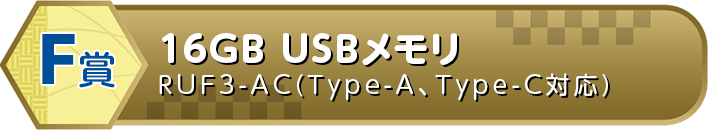16GB USBメモリ RUF3-AC(Type-A、Type-C対応)