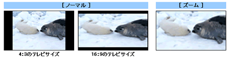 図1