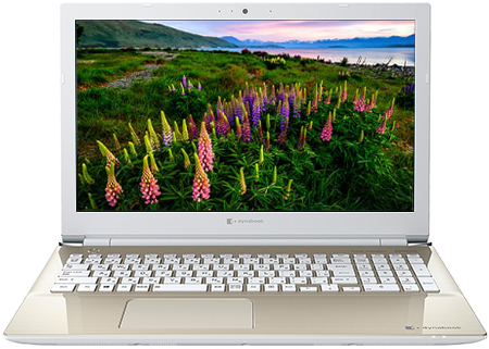 dynabook X6 P1X6MPEG