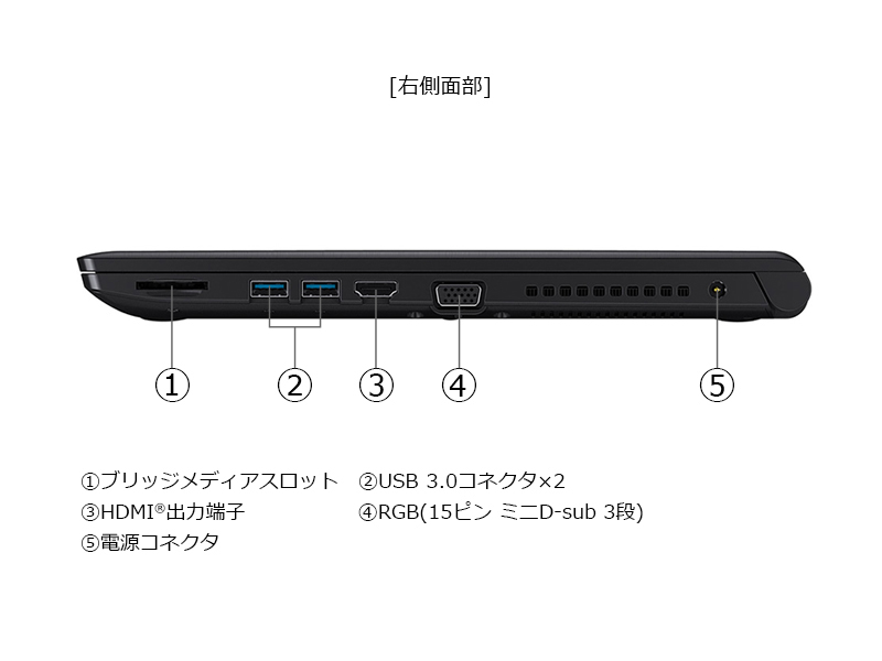 右側面部