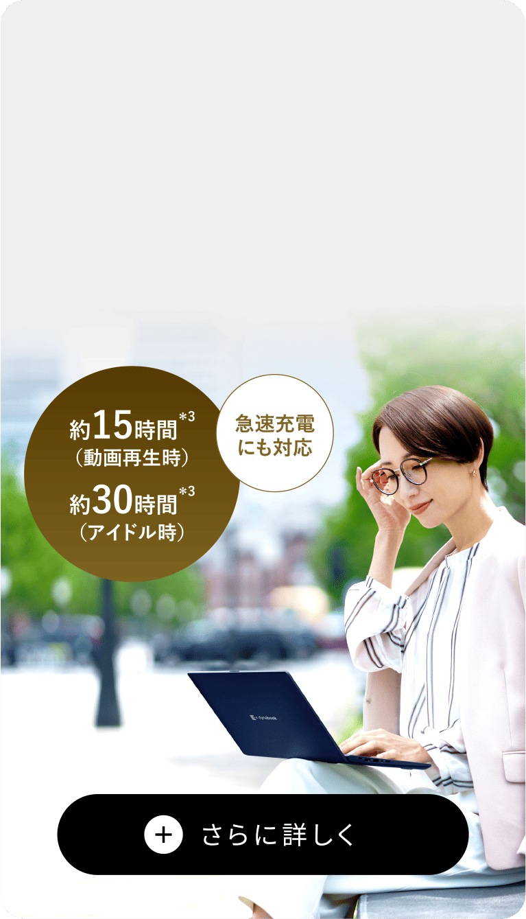 約15時間（動画再生時）約30時間（アイドル時）　急速充電にも対応