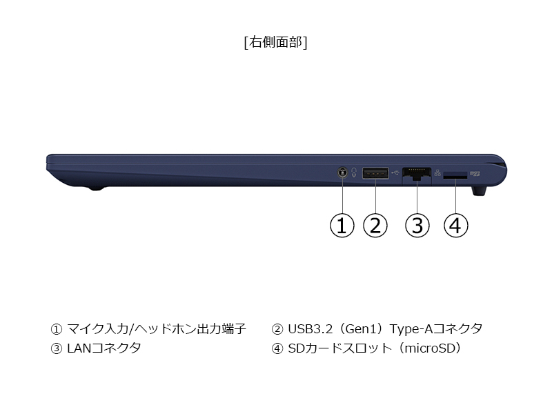 右側面部