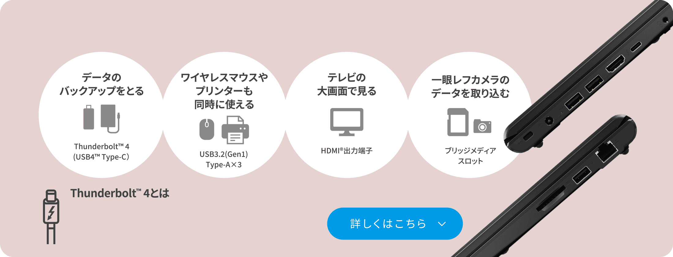 データのバックアップをとる ワイヤレスマウスやプリンターも同時に使える テレビの大画面で見る 一眼レフカメラのデータを取り込む