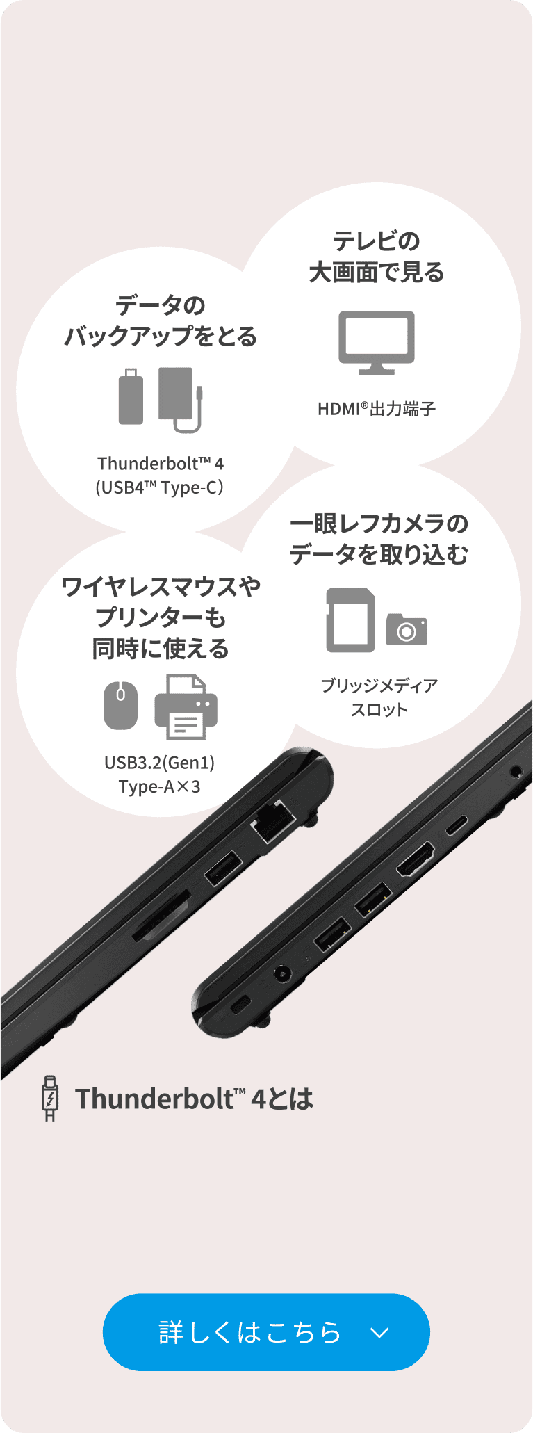 データのバックアップをとる ワイヤレスマウスやプリンターも同時に使える テレビの大画面で見る 一眼レフカメラのデータを取り込む