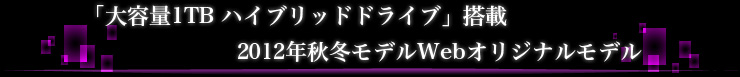 「大容量1TB ハイブリッドドライブ」搭載2012年秋冬Webオリジナルモデル