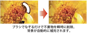 Adobe(R) Photoshop(R) Elements 10イメージ