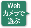 Webカメラで遊ぶ