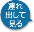 連れ出して見る