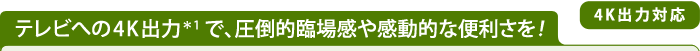 テレビへの4K出力＊1で、圧倒的臨場感や感動的な便利さを！【4K出力対応】 