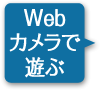 Webカメラで遊ぶ