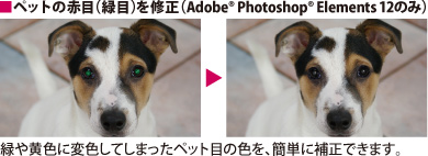 ■ペットの赤目（緑目）を修正
