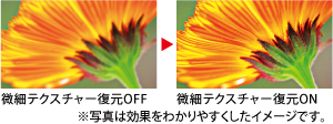 微細テクスチャー復元イメージ