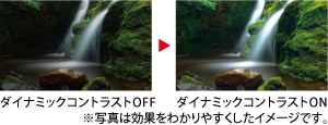ダイナミックコントラストイメージ