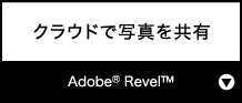 クラウドで写真を共有『Adobe® Revel™』