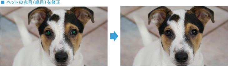 ■ペットの赤目（緑目）を修正