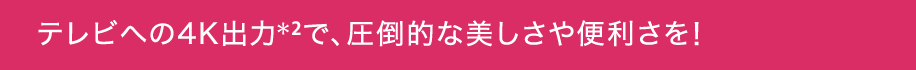 テレビへの4K出力*2で、圧倒的な美しさや便利さを!
