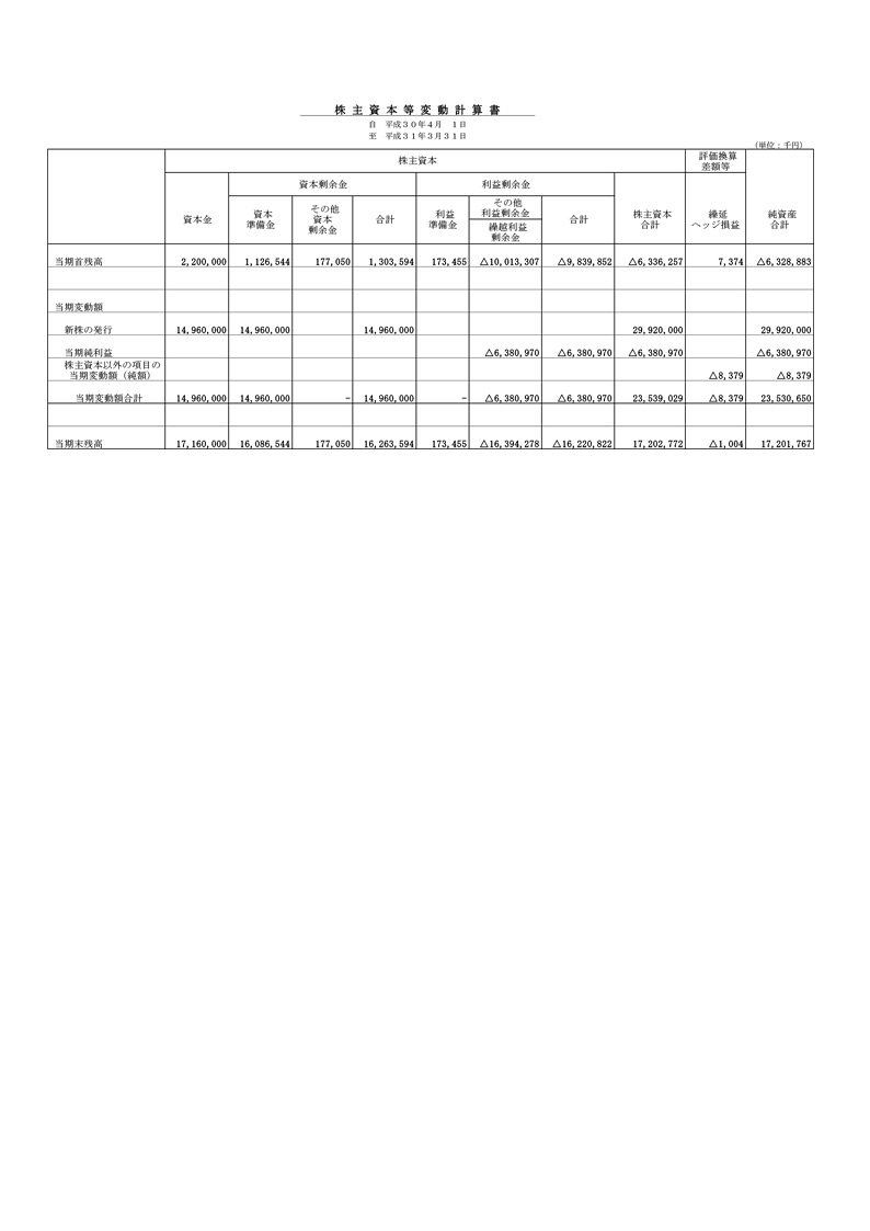 Period 80 Financial Statement (for fiscal year ended March 2019) 3ページ