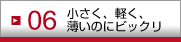 06 AyÂɃrbN