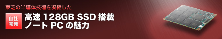ł̔̋ZpÏk ЊJ 128GB SSD ڃm[gPC̖