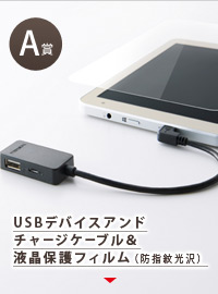 A賞 USBデバイスアンドチャージケーブル＆液晶保護フィルム（防指紋光沢）
