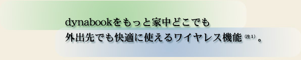 dynabookƉƒǂłBOołKɎg郏CX@\iPjB