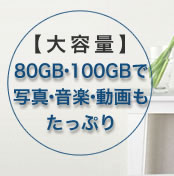 [e]80GBE100GBŎʐ^EyEՂ