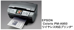 EPSON Colorio PM-A950 ワイヤレス対応プリンタ*