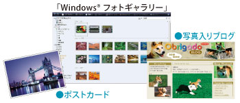C[WFuWindows(R) tHgM[vʐ^uO|XgJ[h