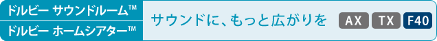 [hr[TEh[(TM)^hr[z[VA^[(TM)]TEhɁAƍL[AX] [TX] [F40]