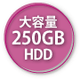 e250GB HDD