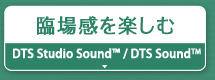 ՏꊴyށwDTS Studio Sound™ / DTS Sound™x