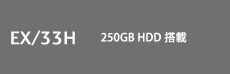 EX/33H 250GB HDD