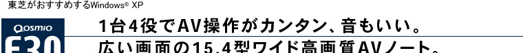 F30C[WF14AV삪J^ABLʂ15.4^Ch掿AVm[gB