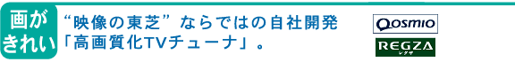 [悪ꂢ]gf̓ŁhȂł͂̎ЊJu掿TV`[ivB
