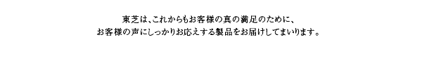 ׂẮAql̐^̖̂߂ɁB toshiba note pc