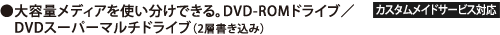 eʃfBAgłBDVD-ROMhCu^DVDX[p[}`hCui2w݁j[JX^ChT[rXΉ]