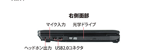 (右側面部)