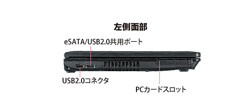(左側面部)