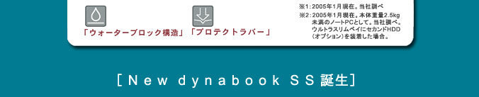m New dynabook SS an 