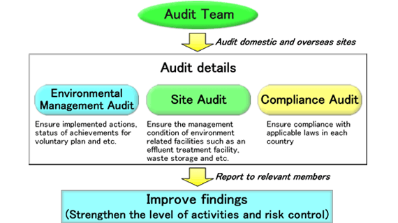Environmental Audit System