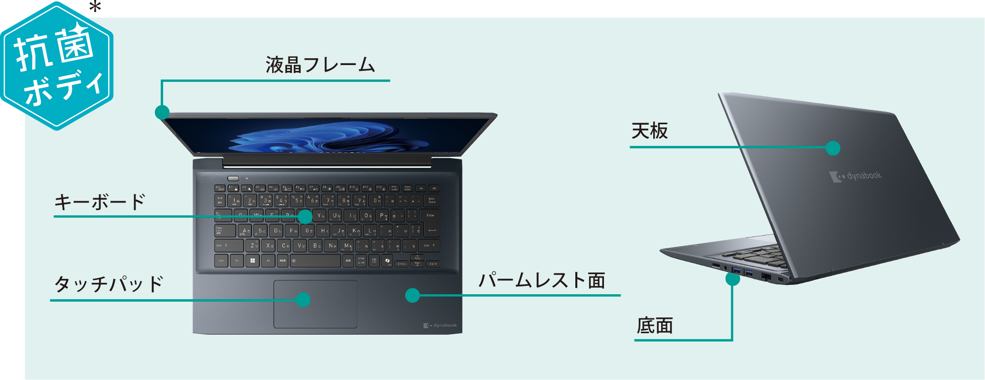 MJ64/LA | ビジネスモバイルノート | 法人向けPC | dynabook